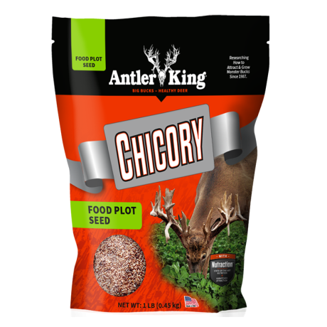 Chicory (1 lb.)