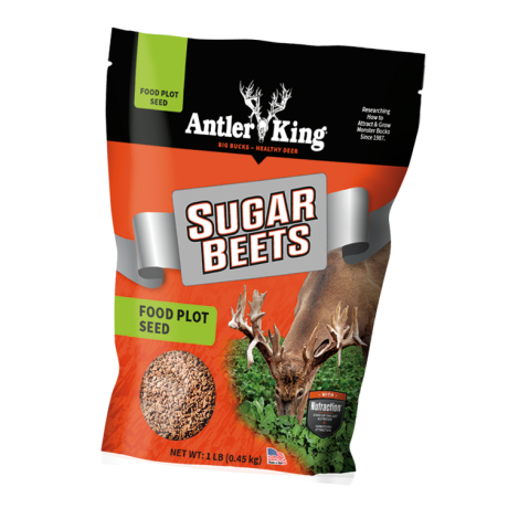 Sugar Beets (1 lb.)