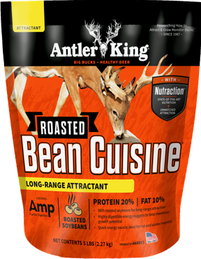 Roasted Bean Cuisine